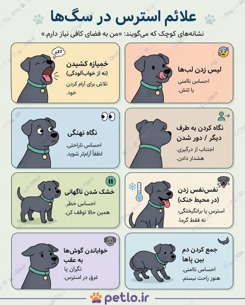 علائم استرس سگ ها