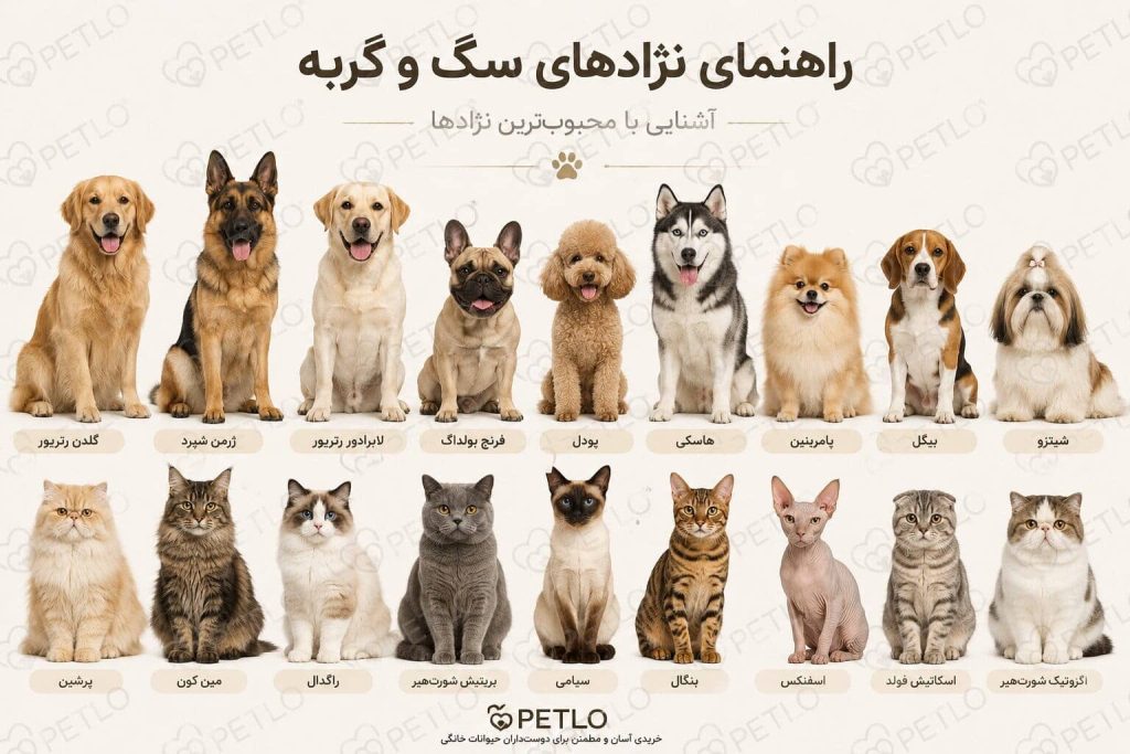 جثه و نژاد سگ و گربه