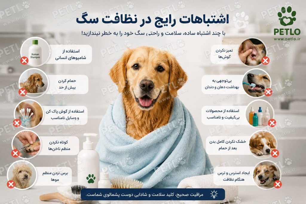 اشتباهات نظافت سگ