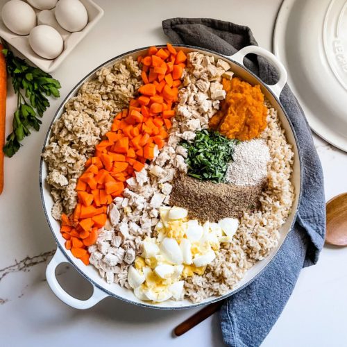 غذای خانگی سگ