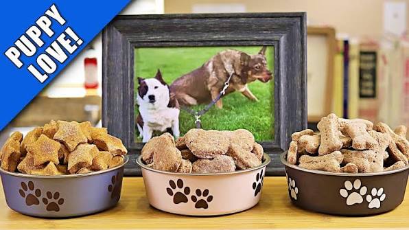 غذای خانگی تشویقی