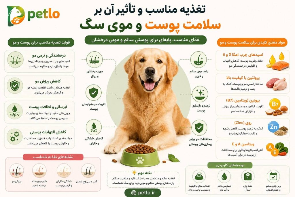 تغذیه مناسب و تأثیر آن بر سلامت پوست و موی سگ