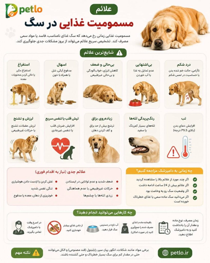 علائم مسمومیت غذایی در سگ