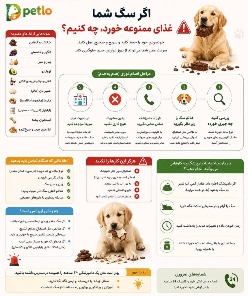 اگر سگ غذای ممنوعه خورد چه کنیم؟