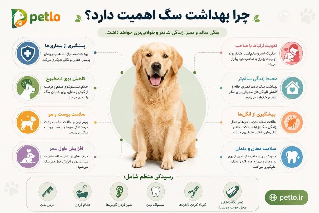 اهمیت بهداشت سگ
