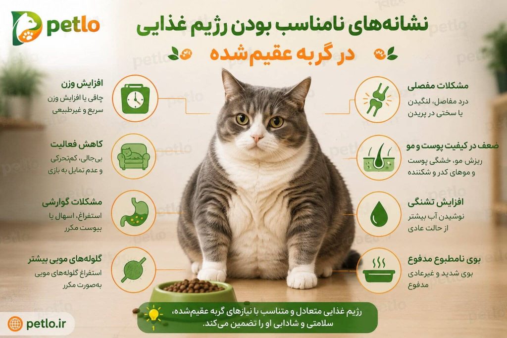 نشانه‌های نامناسب بودن رژیم غذایی در گربه عقیم‌شده