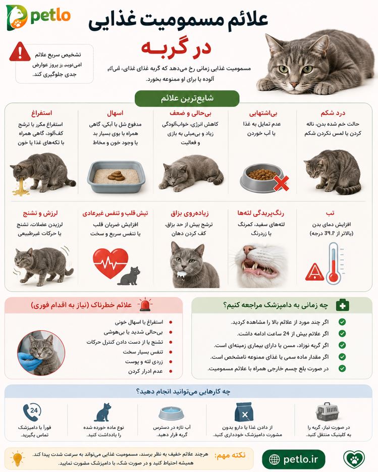 علائم مسمومیت غذایی در گربه