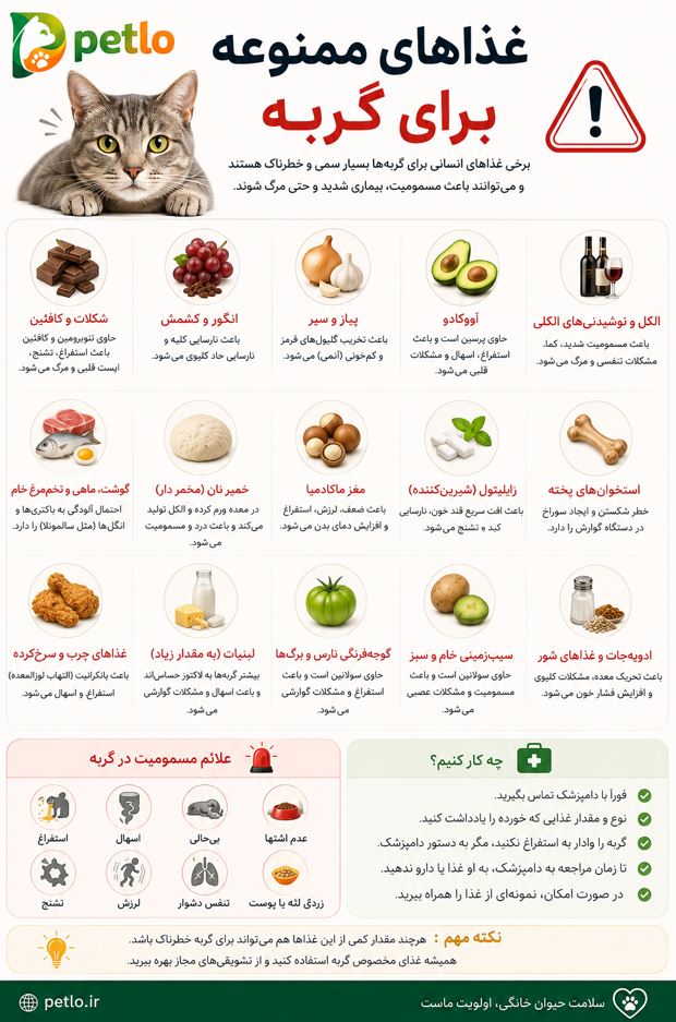 غذاهای ممنوعه گربه