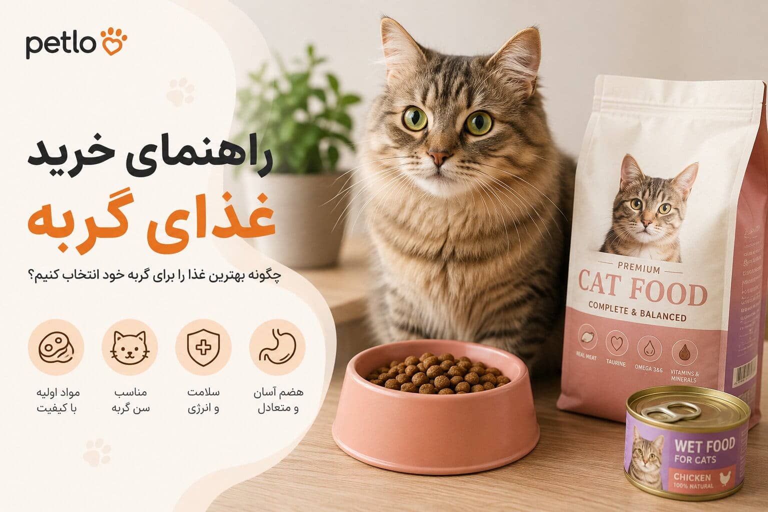 راهنمای خرید غذای گربه