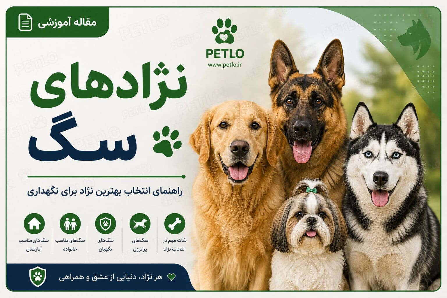نژادهای سگ
