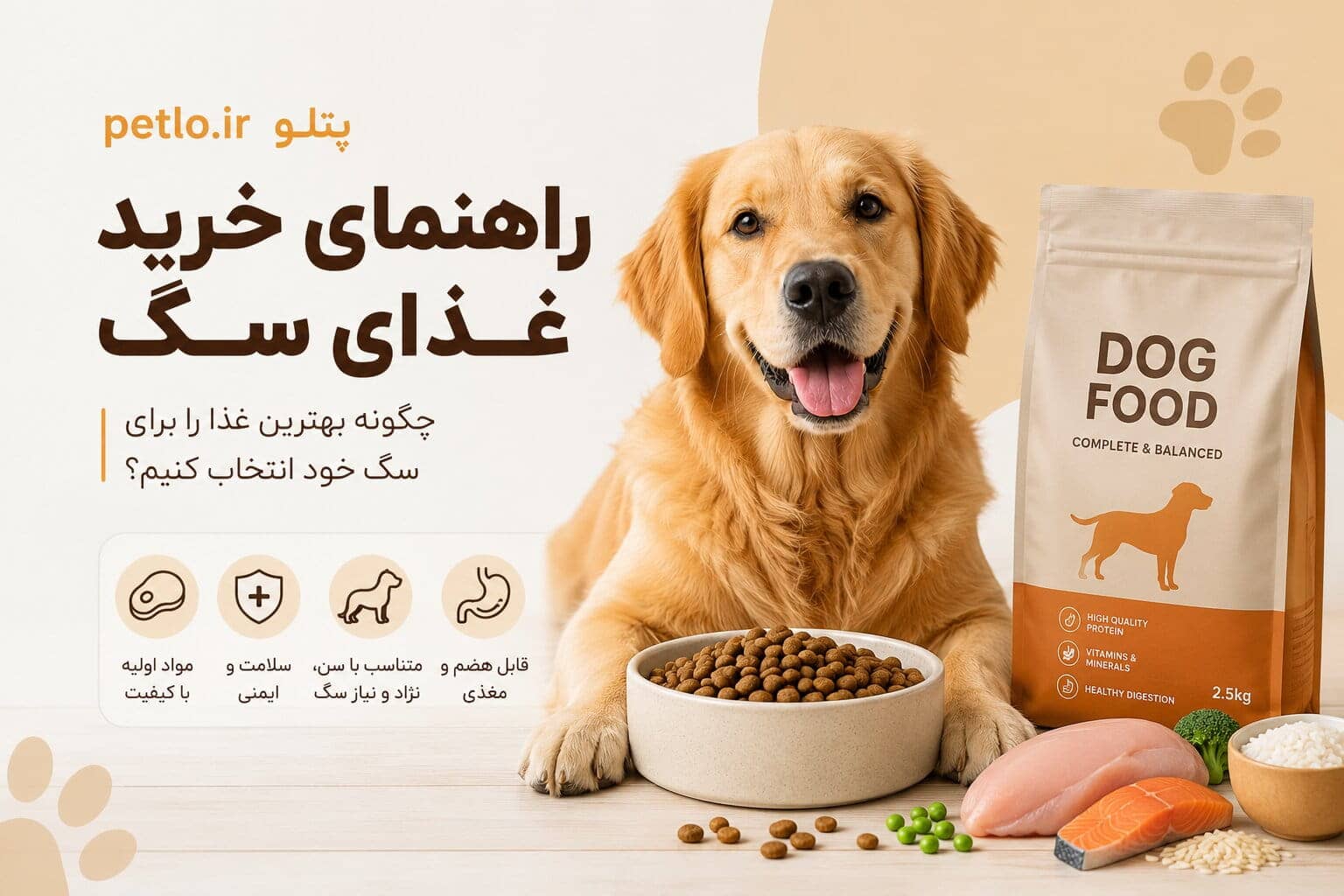 راهنمای خرید غذای سگ