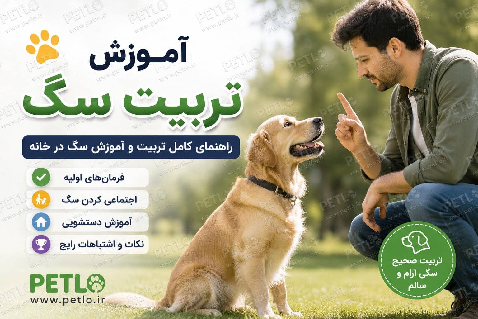 آموزش تربیت سگ