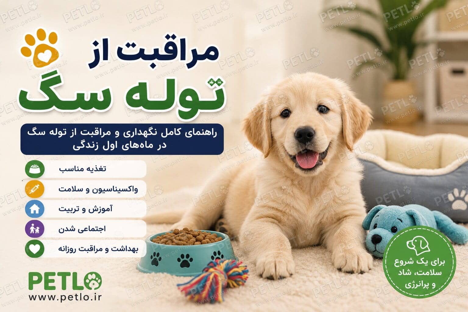 مراقبت از توله سگ