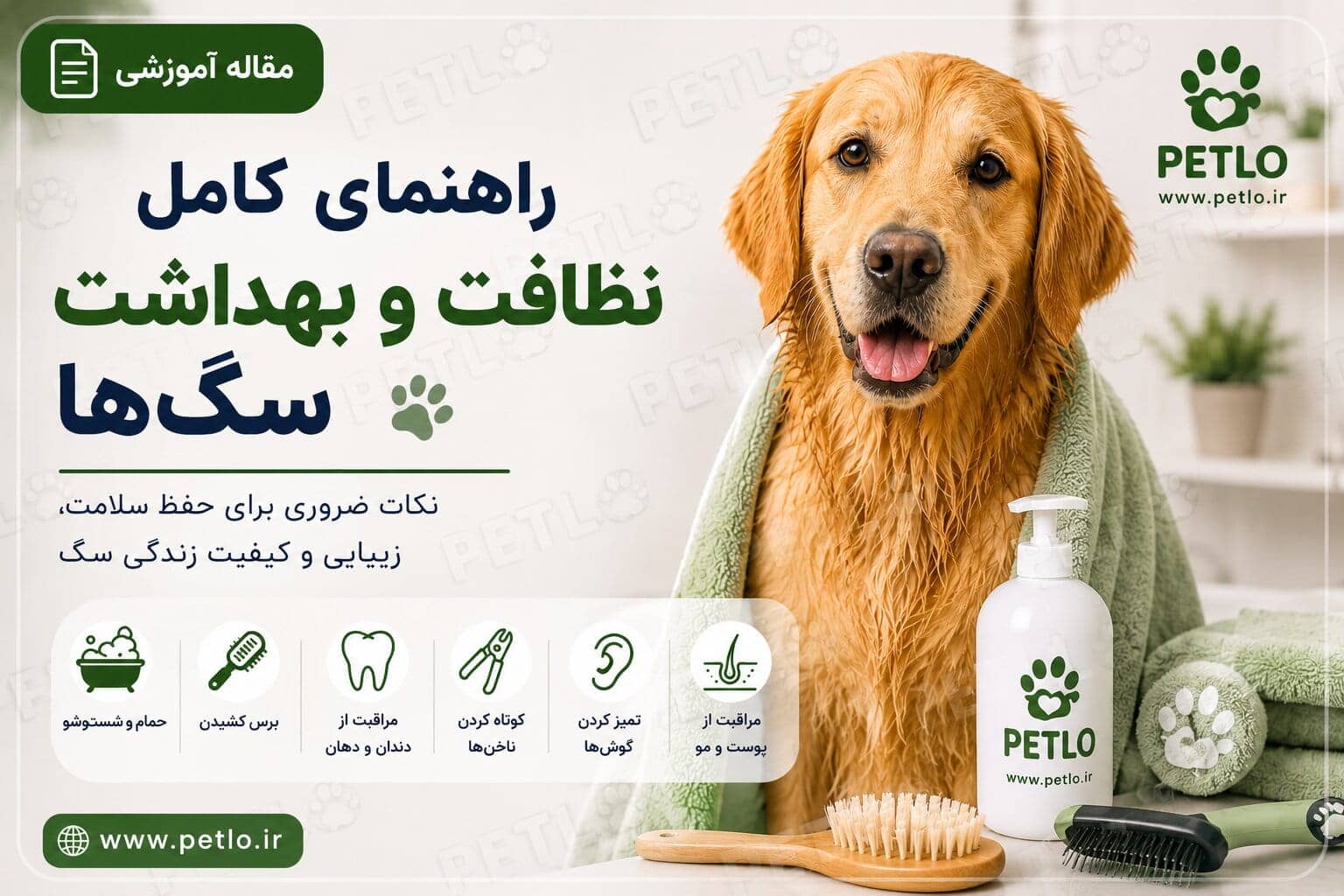 بهداشت و نظافت سگ