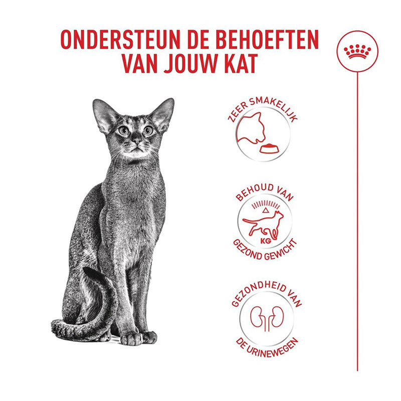 غذای خشک گربه رویال کنین Royal Canin Fussy Exigent