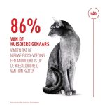 غذای خشک گربه رویال کنین Royal Canin Fussy Exigent