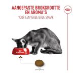 غذای خشک گربه رویال کنین Royal Canin Fussy Exigent