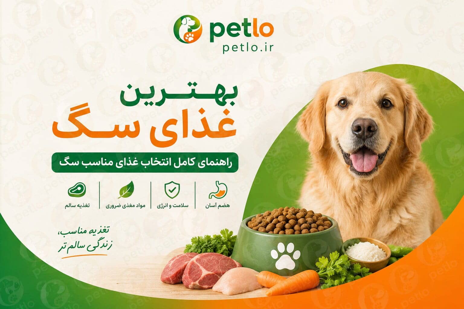 بهترین غذای سگ