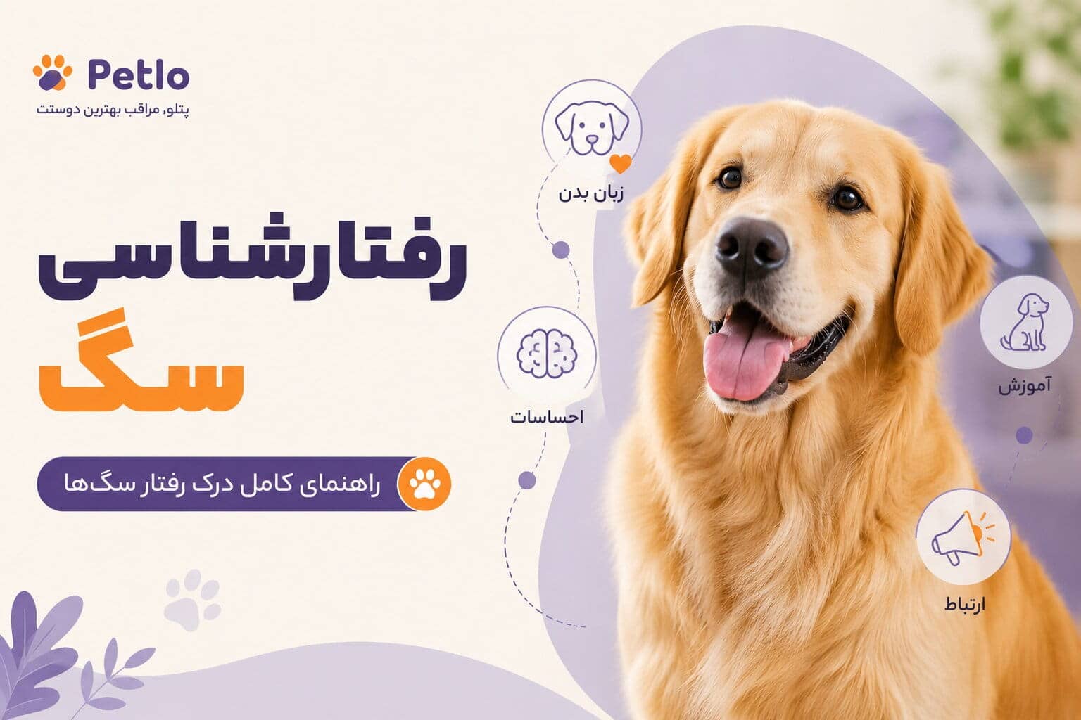 زبان بدن سگ‌ها