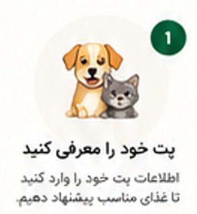 معرفی پت