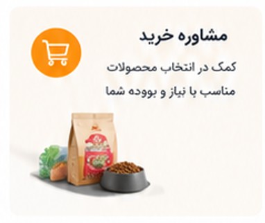مشاوره خرید پتلو