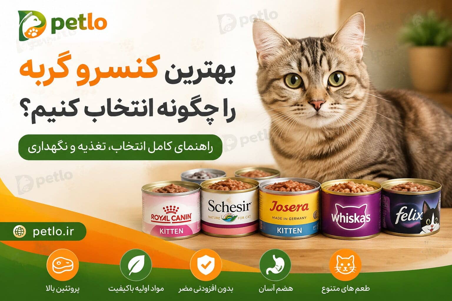 بهترین کنسرو گربه