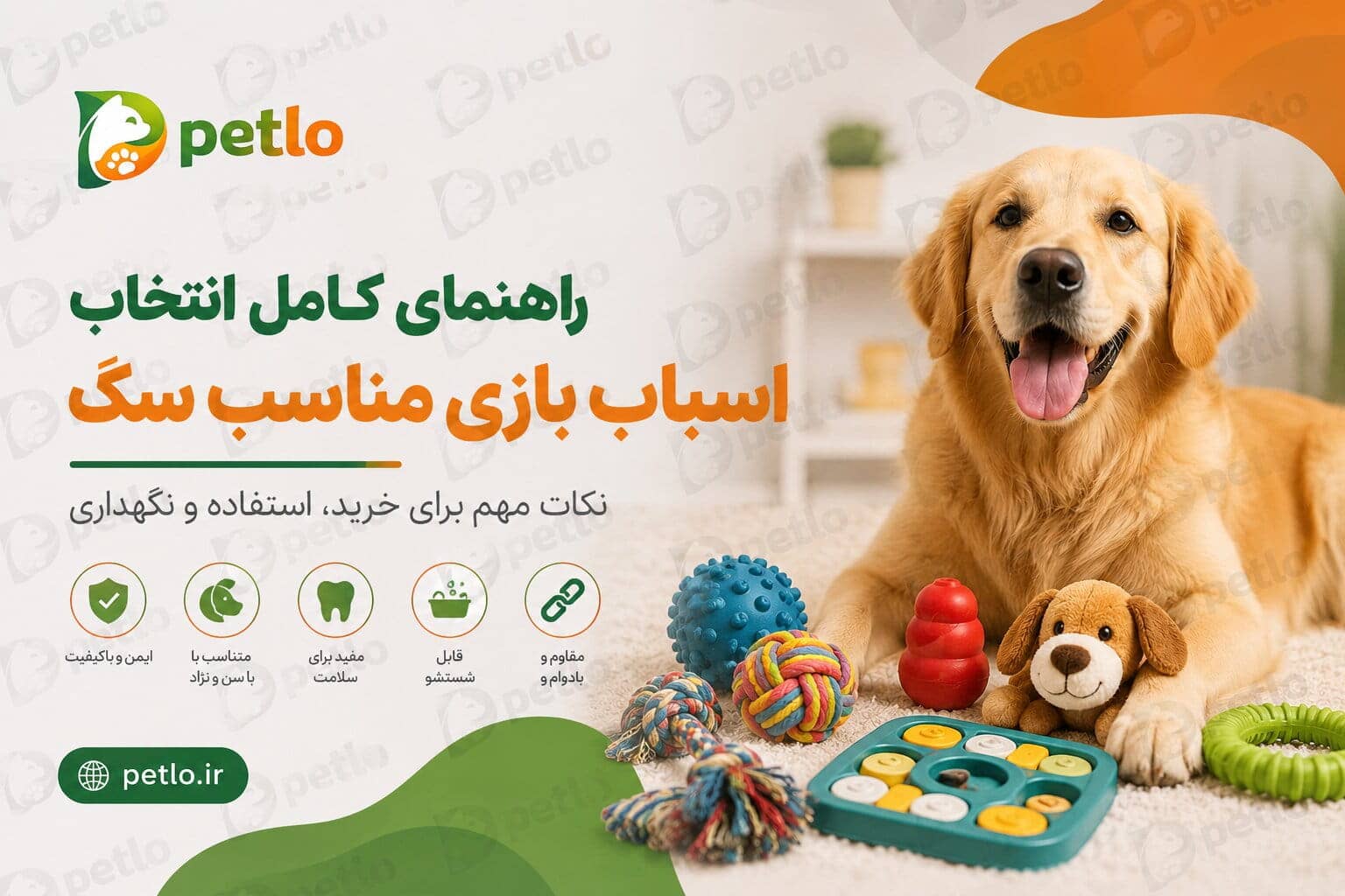 بهترین اسباب بازی های سگ؛