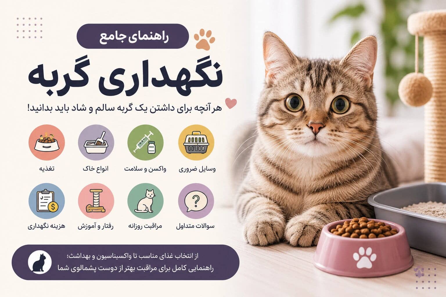 راهنمای کامل نگهداری گربه