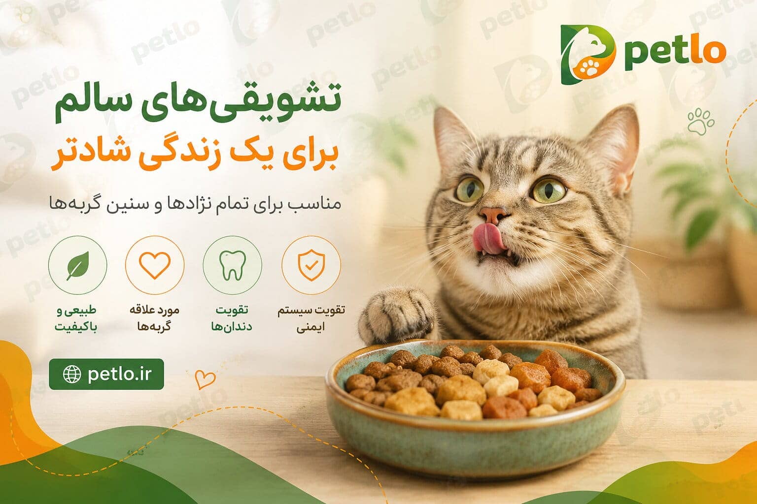 بهترین تشویقی برای گربه