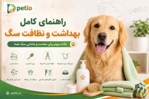 بهداشت و نظافت سگ