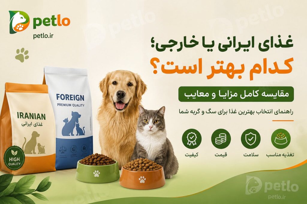 غذای ایرانی یا خارجی برای سگ و گربه