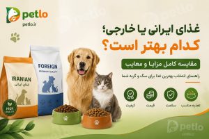 غذای ایرانی یا خارجی برای سگ و گربه