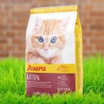 جوسرا سوپرپرمیوم کیتن10kg Josera Super Premium Kitten - تصویر 4