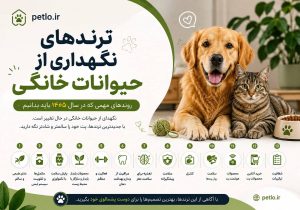 ترندهای نگهداری از حیوانات خانگی