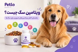 ویتامین سگ