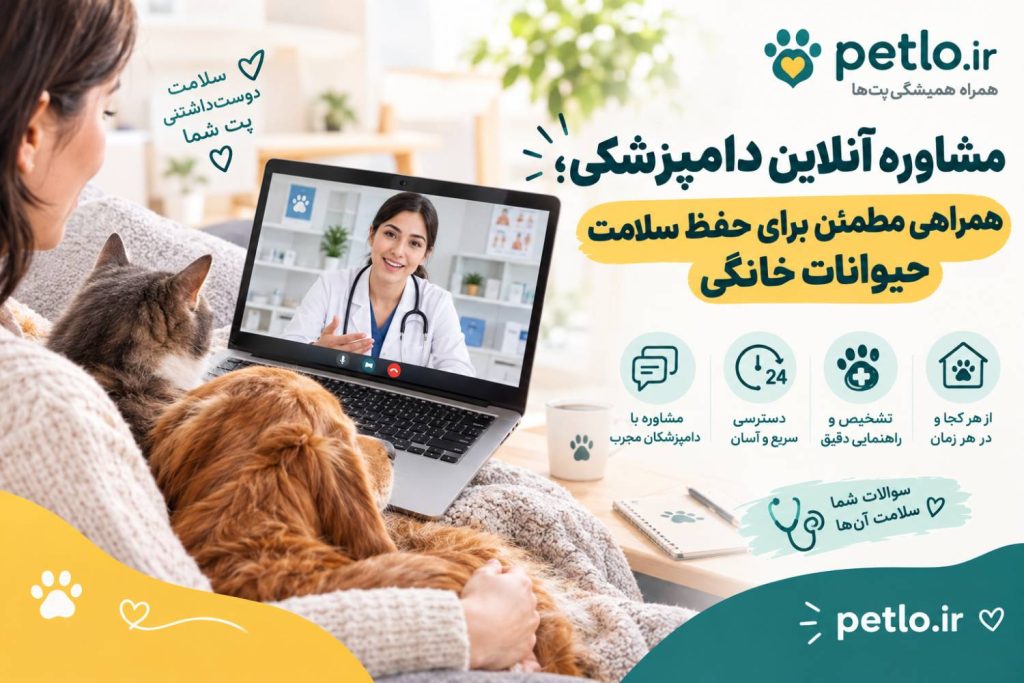 مشاوره آنلاین دامپزشکی