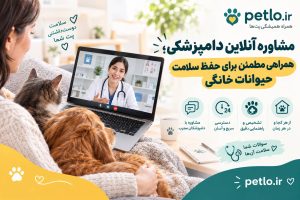 مشاوره آنلاین دامپزشکی