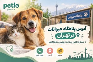 آدرس پناهگاه حیوانات در تهران