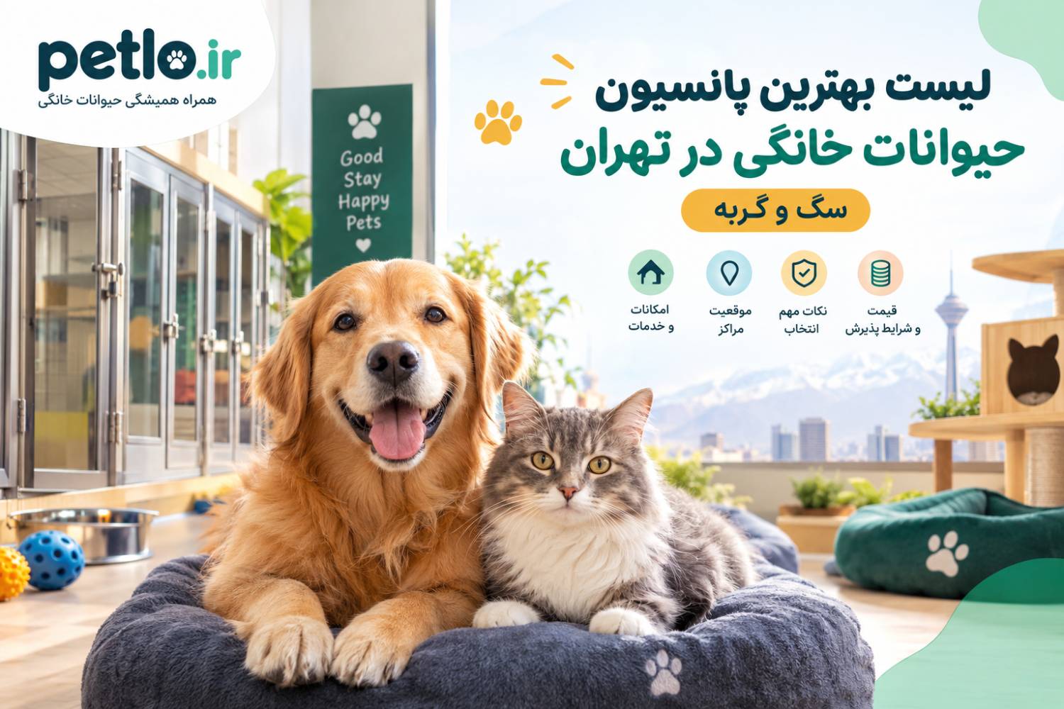 بهترین پانسیون حیوانات خانگی در تهران